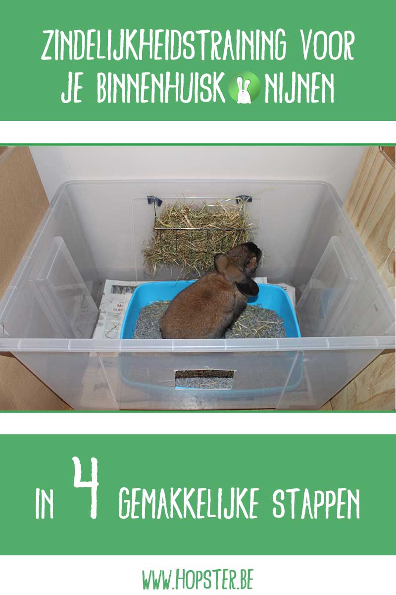Zindelijkheidstraining | Konijnenadviesbureau Hopster