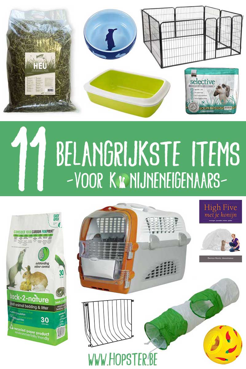 11 belangrijkste items voor konijneneigenaars | Konijnenadviesbureau Hopster