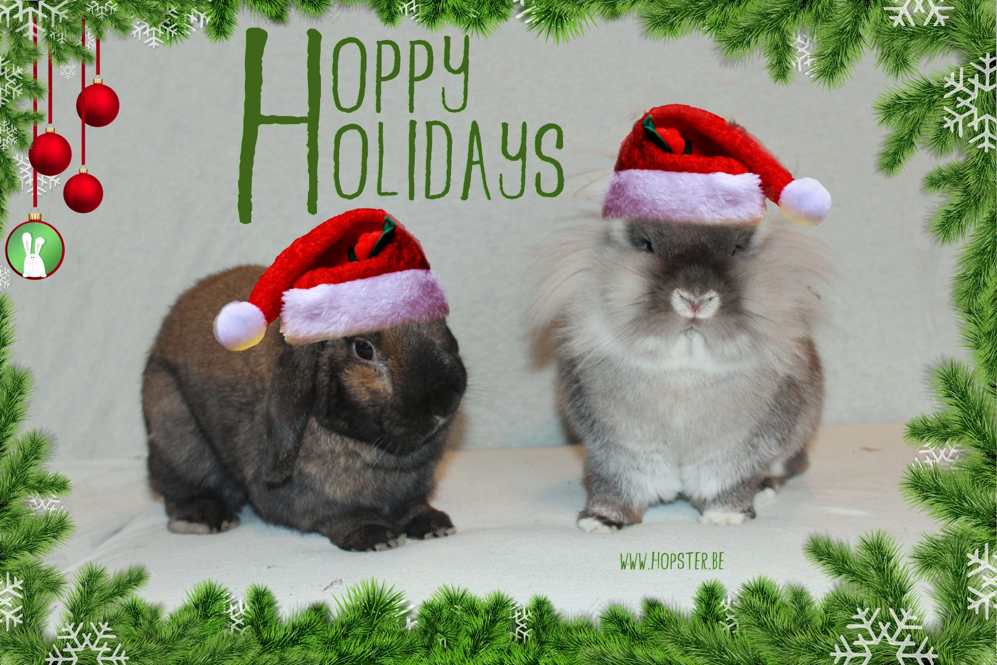 Hoppy Holidays | Konijnenadviesbureau Hopster