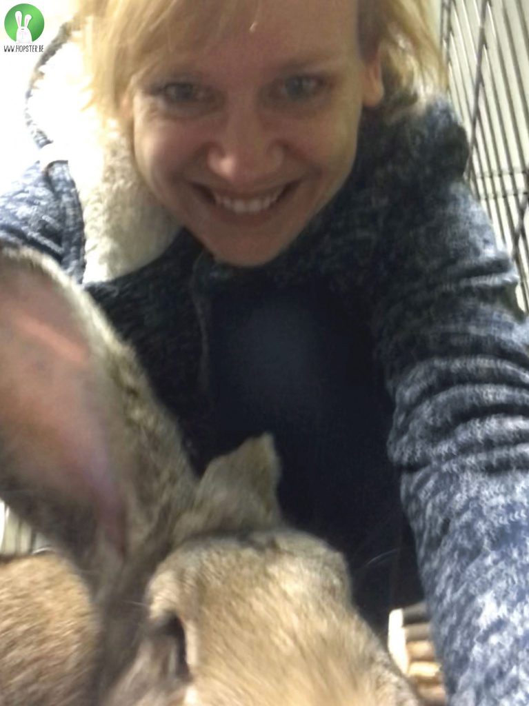 EHBO bij konijnen | Konijnenadviesbureau Hopster