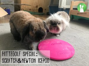 Scratch&Newton | Konijnenadviesbureau Hopster